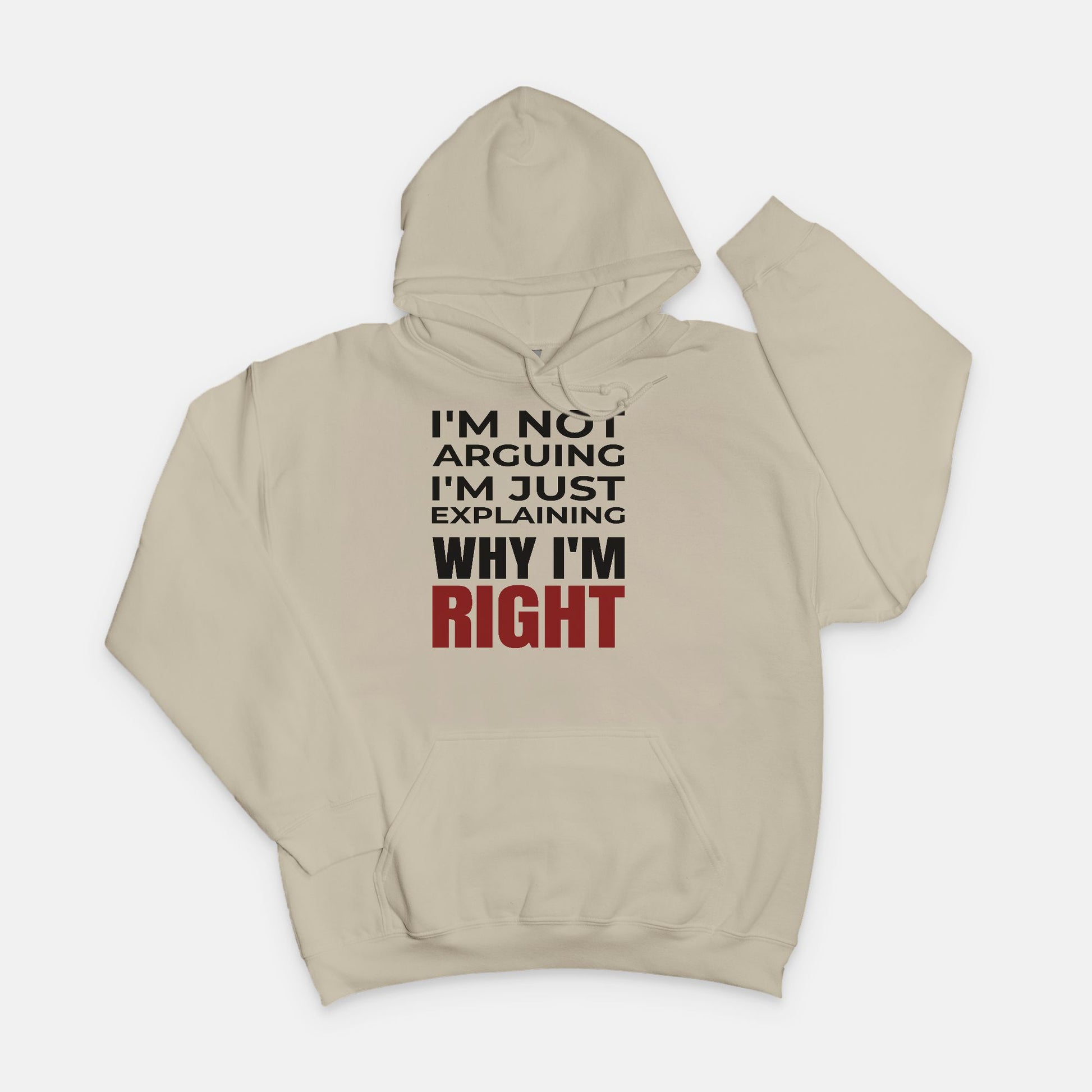 I’m Not Arguing I’m Just Explaining Why I’m Right Hoodie