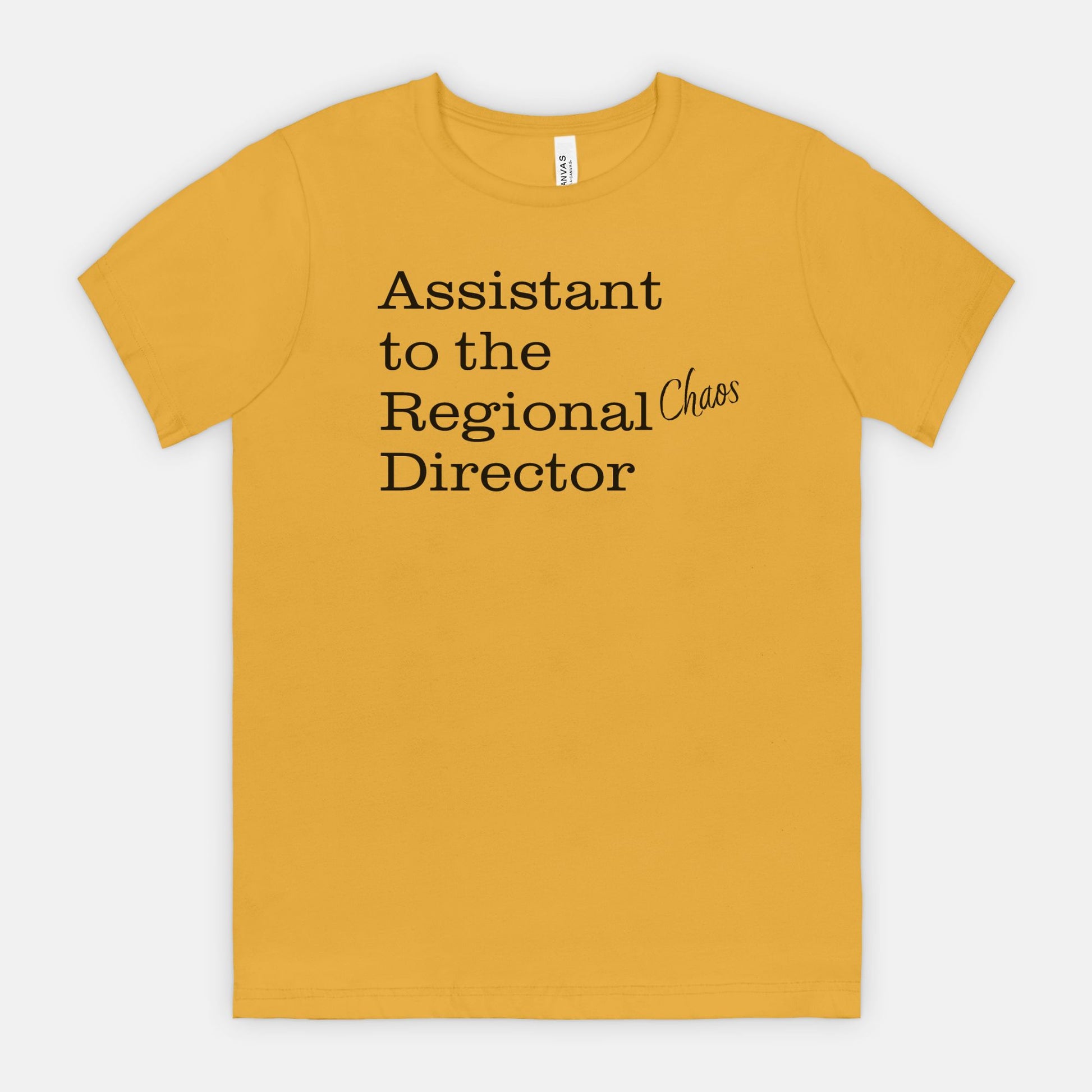 Assistant to the Regional Chaos Director Tee - Black text