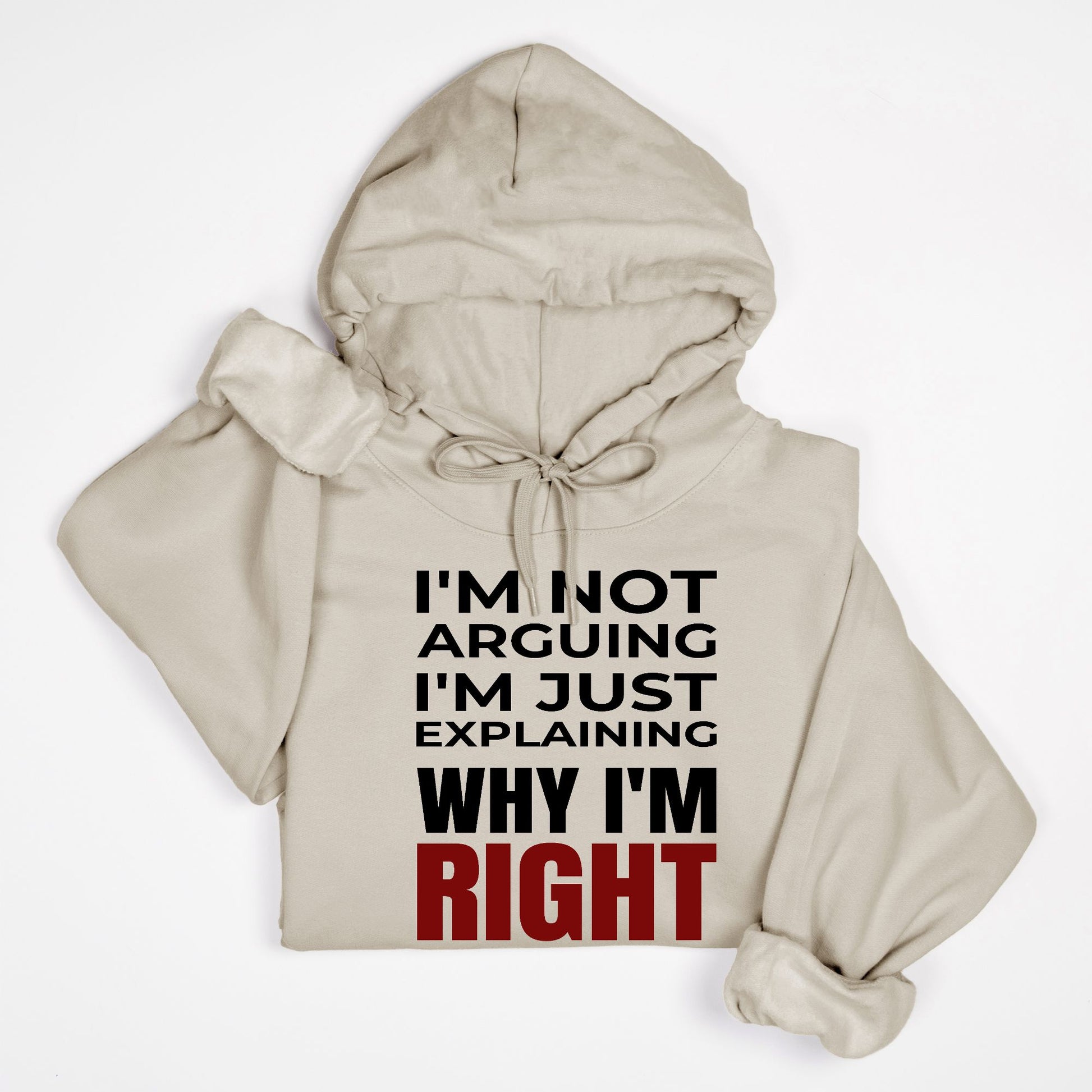 I’m Not Arguing I’m Just Explaining Why I’m Right Hoodie