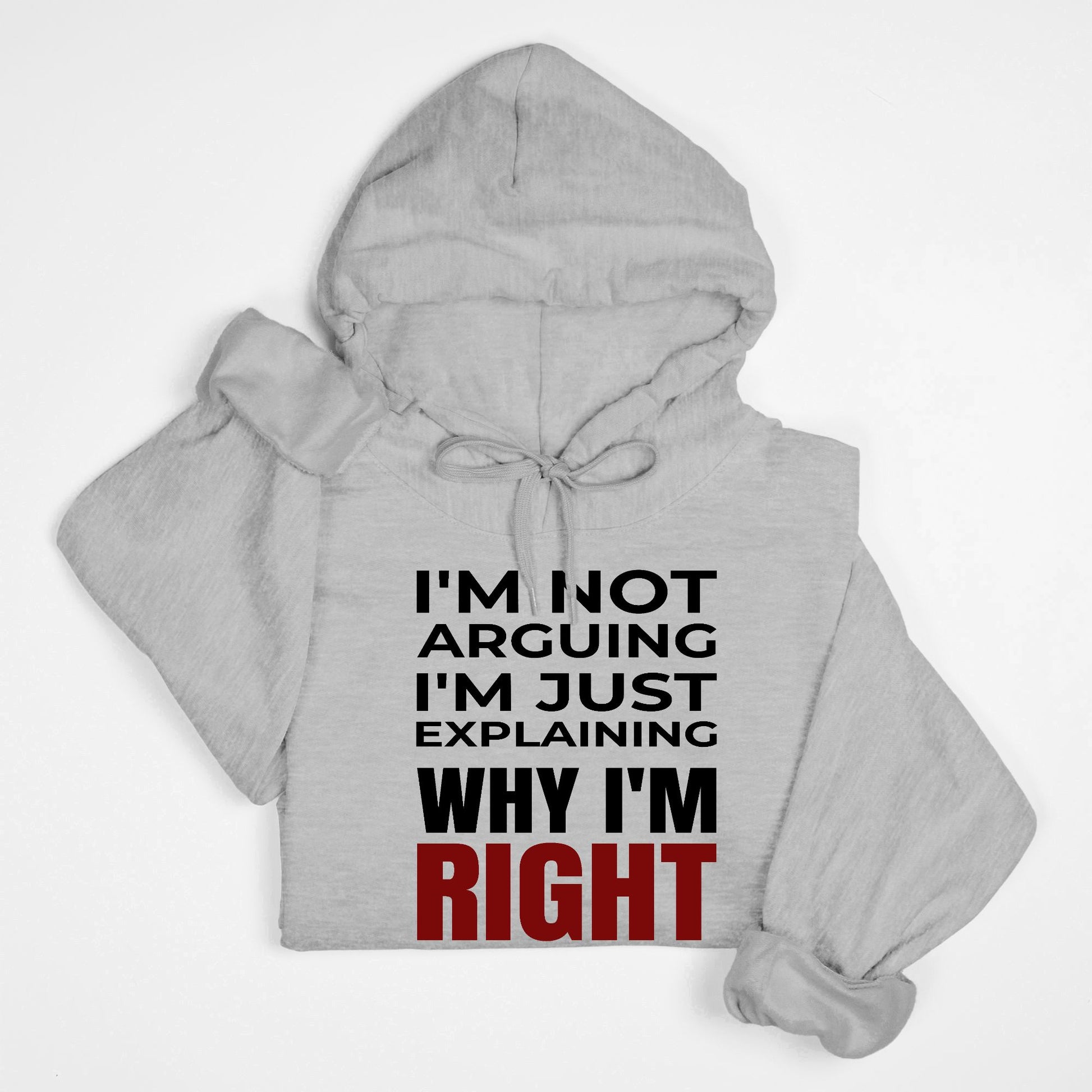 I’m Not Arguing I’m Just Explaining Why I’m Right Hoodie