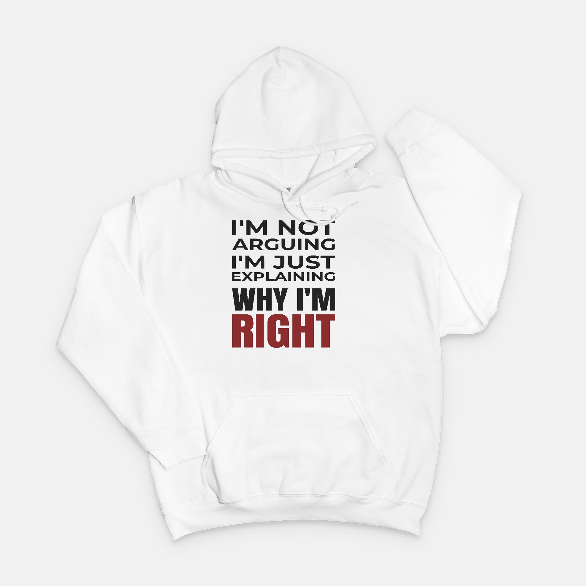 I’m Not Arguing I’m Just Explaining Why I’m Right Hoodie