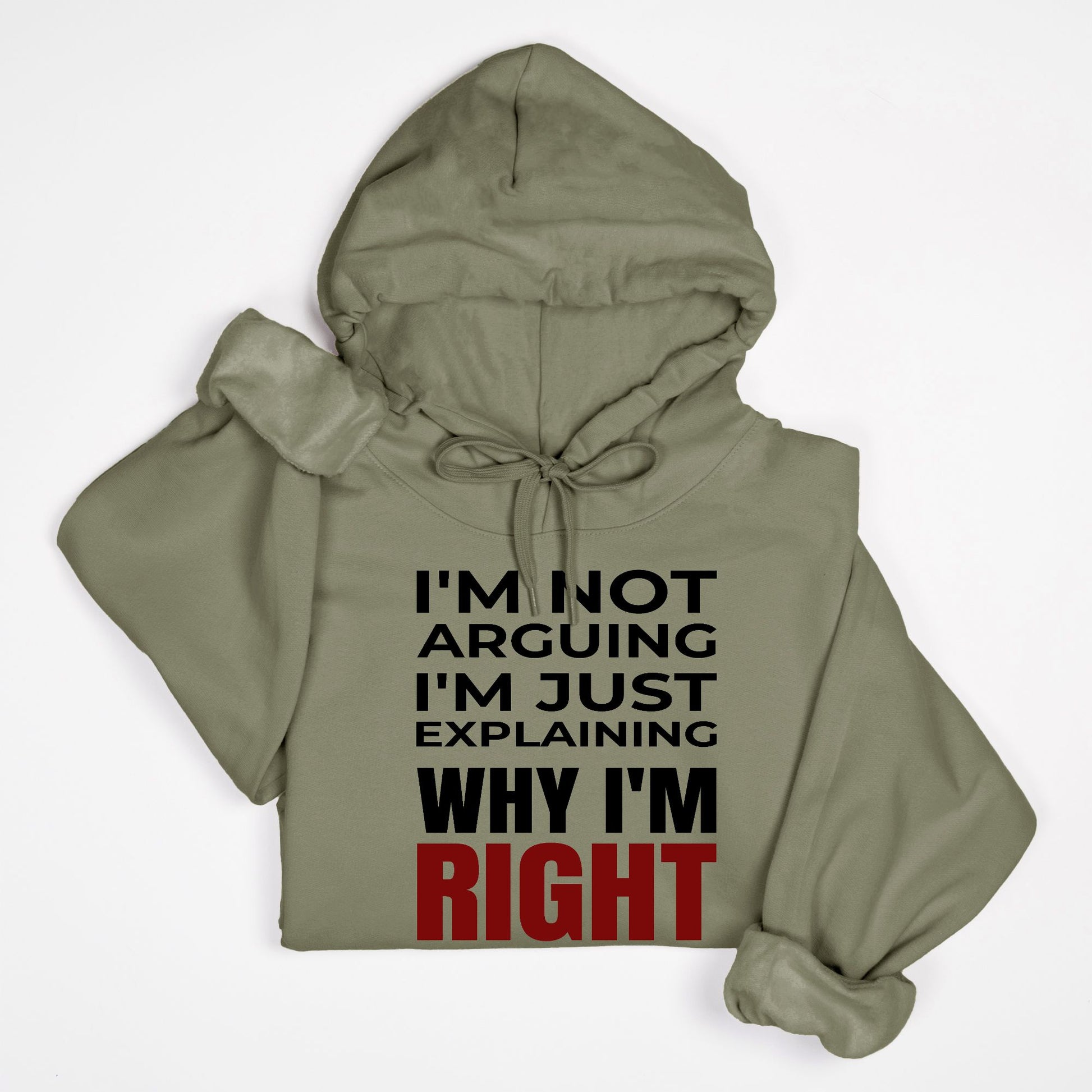 I’m Not Arguing I’m Just Explaining Why I’m Right Hoodie
