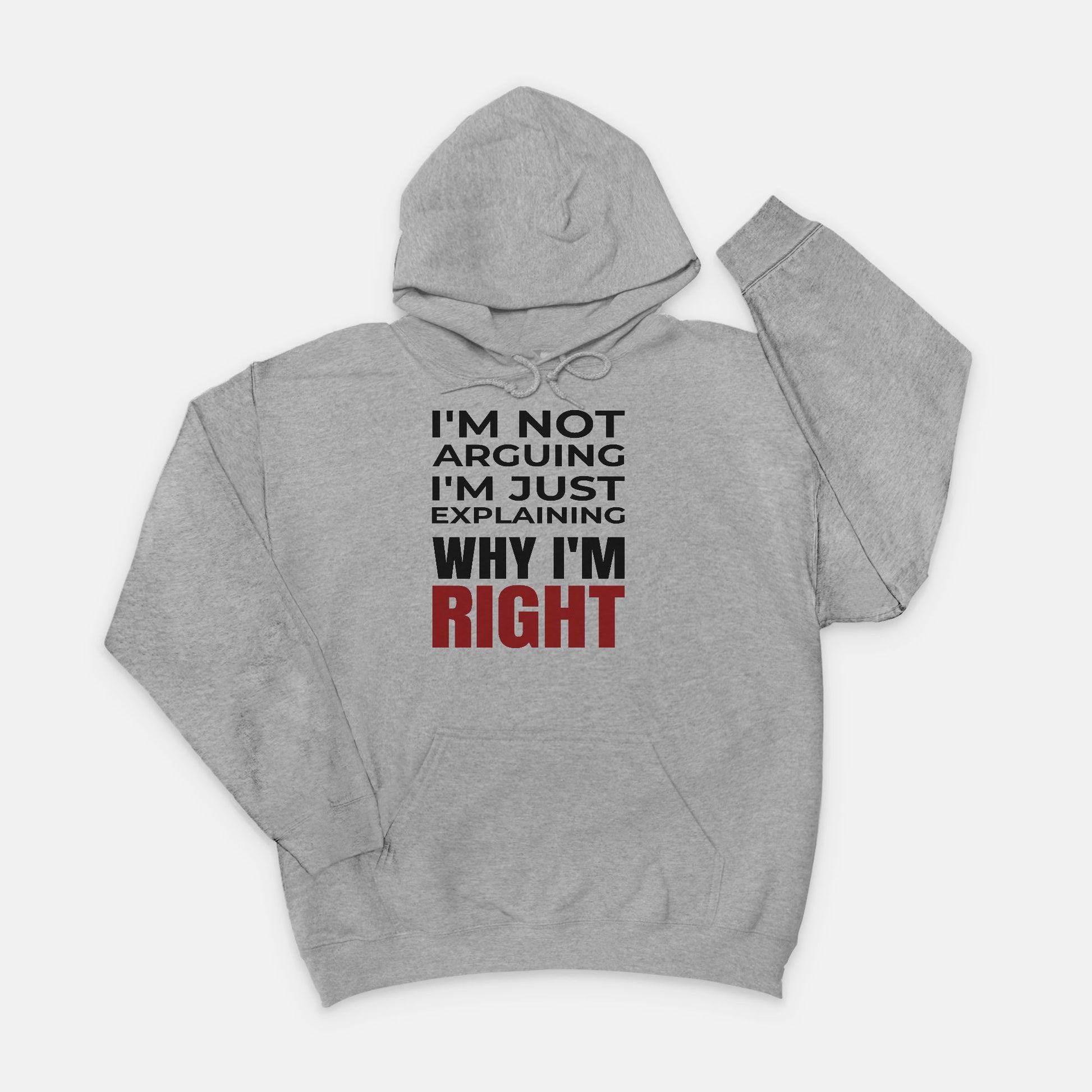 I’m Not Arguing I’m Just Explaining Why I’m Right Hoodie