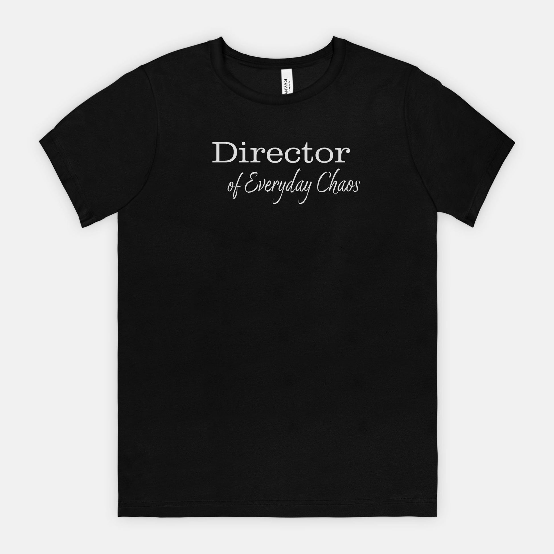 Director of Everyday Chaos - White Text