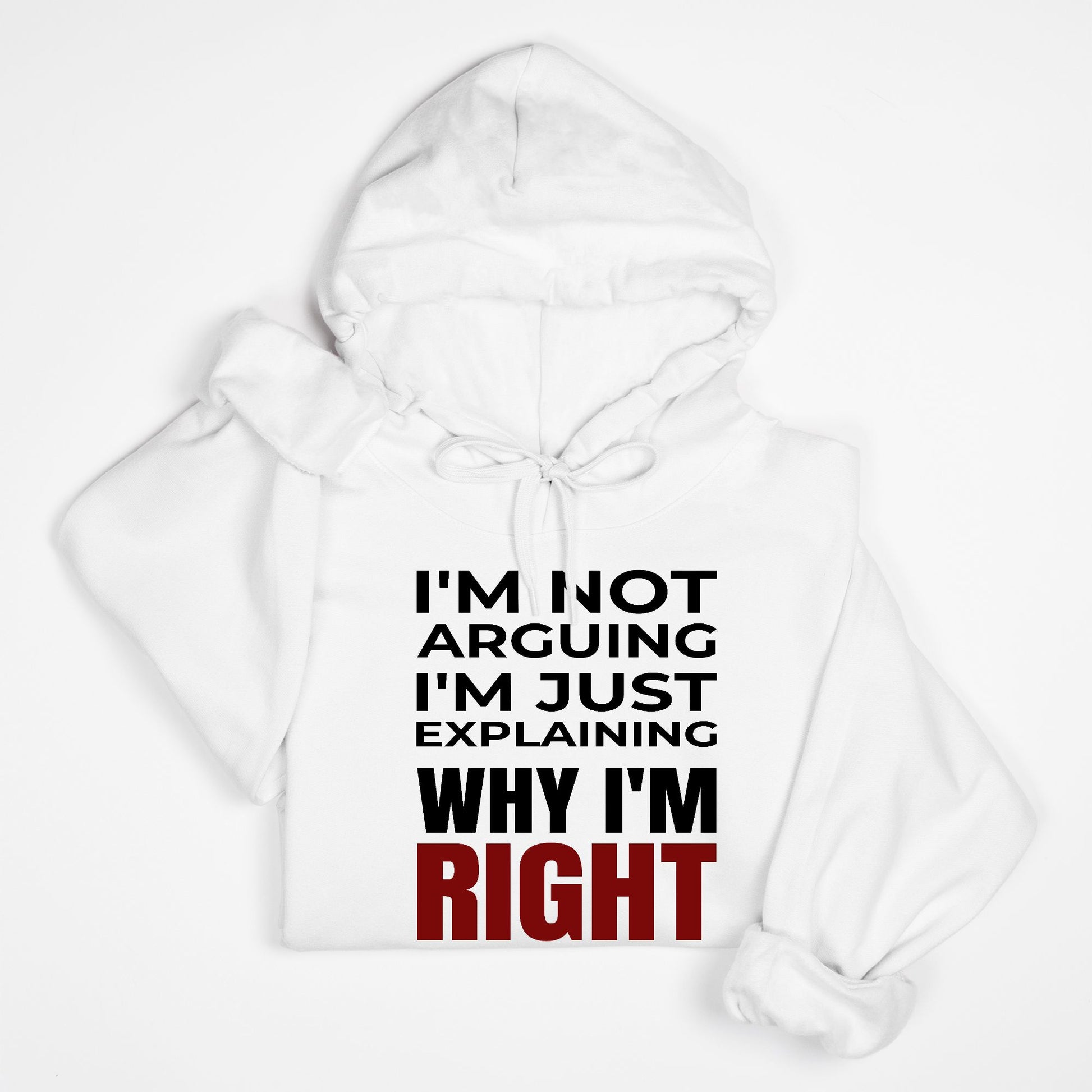 I’m Not Arguing I’m Just Explaining Why I’m Right Hoodie